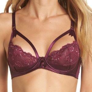 NWT Dita Von Teese Madame X Underwire Bra (34B)